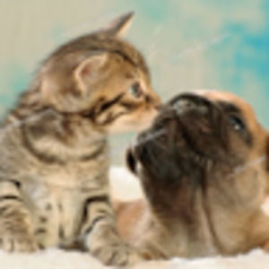 Meet your Posher, Alanna